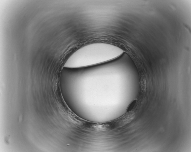 X0000100220558200805300750