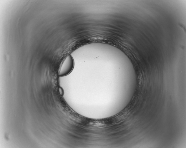 X0000100220559200805300750