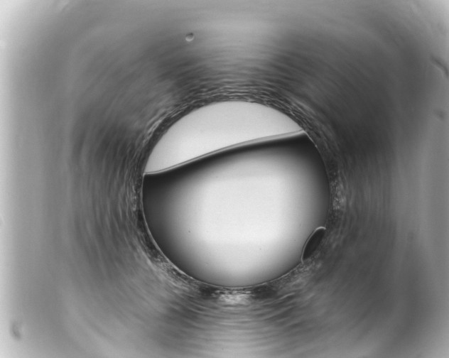 X0000100220560200805300750