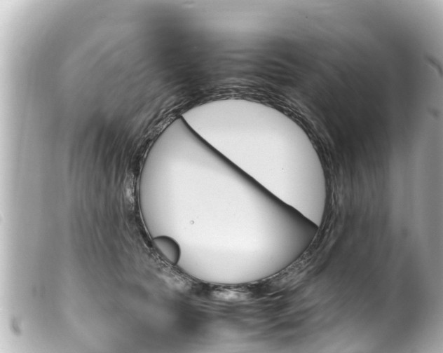 X0000100220561200805300750