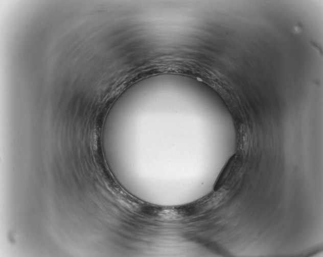 X0000100220562200805300750