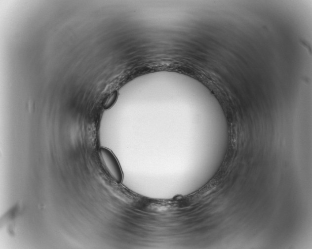 X0000100220563200805300750