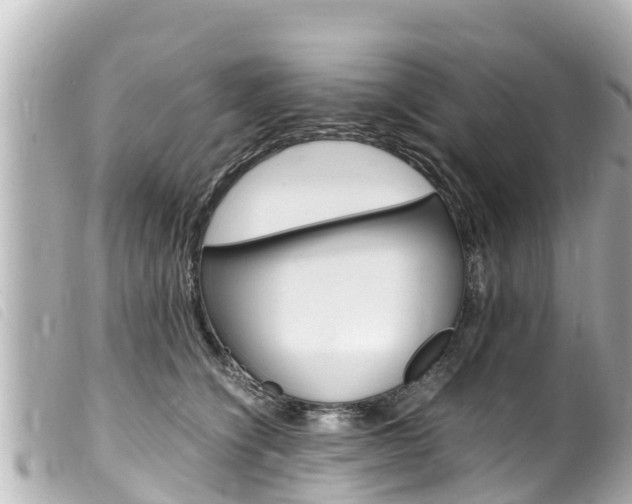 X0000100220564200805300750