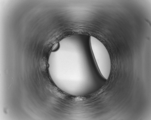 X0000100220566200805300750
