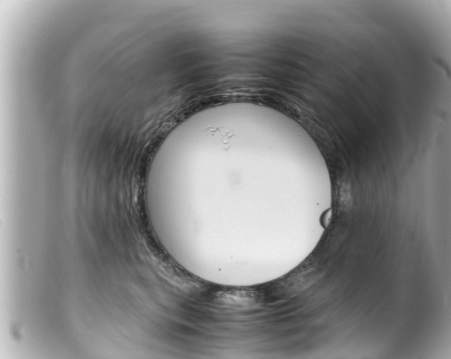 X0000100220567200805300750