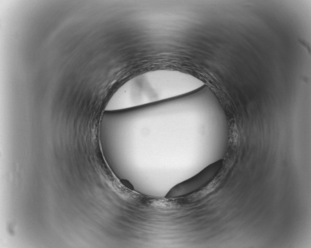 X0000100220568200805300750