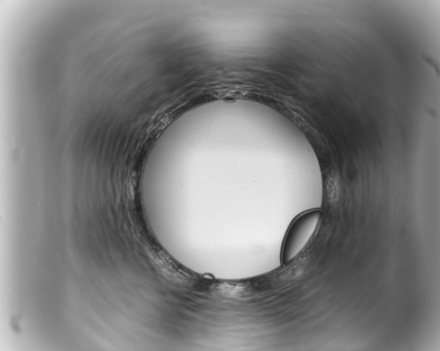 X0000100220570200805300750