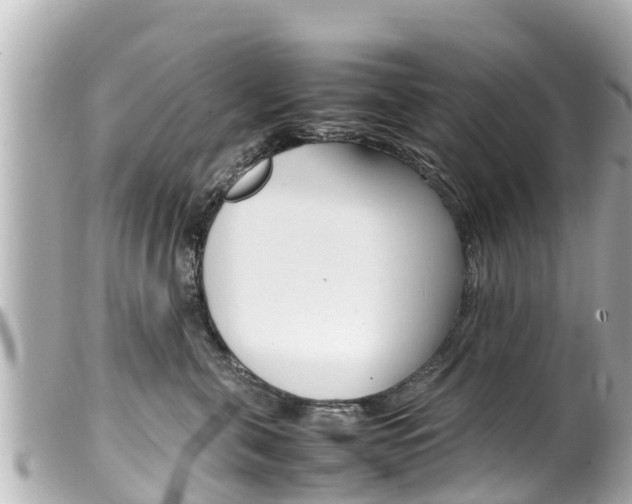 X0000100220571200805300750