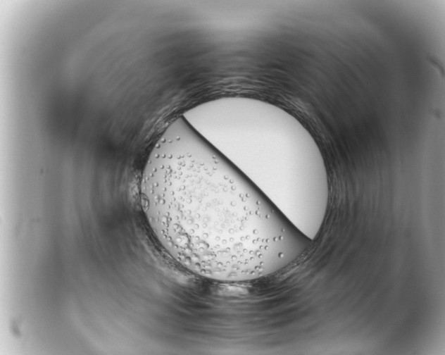X0000100220573200805300750