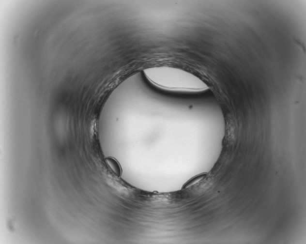 X0000100220574200805300750