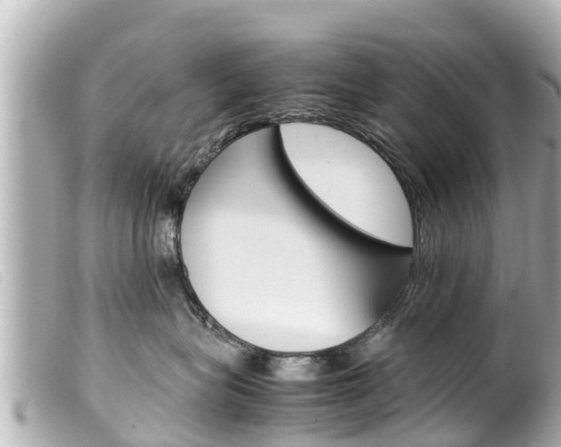 X0000100220575200805300750