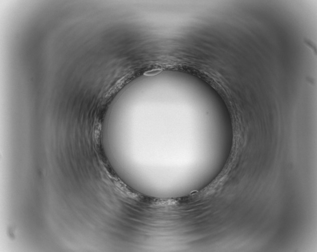 X0000100220576200805300750