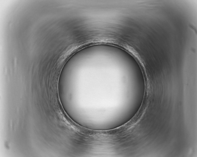 X0000100220577200805300749