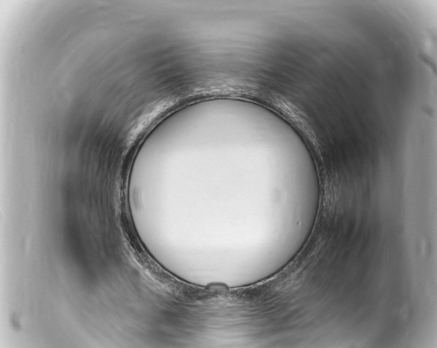 X0000100220578200805300749