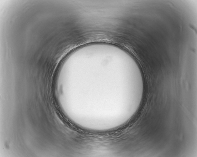 X0000100220579200805300749