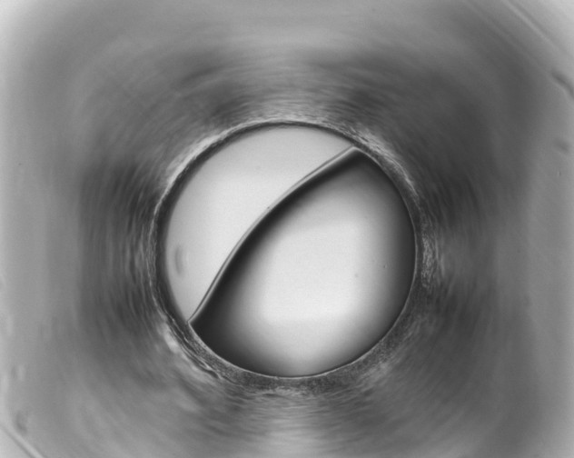X0000100220580200805300749