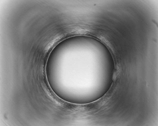 X0000100220581200805300749