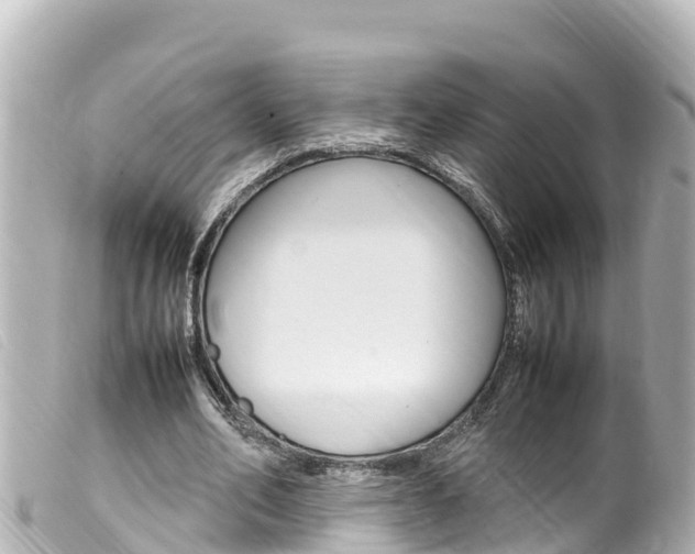 X0000100220582200805300749
