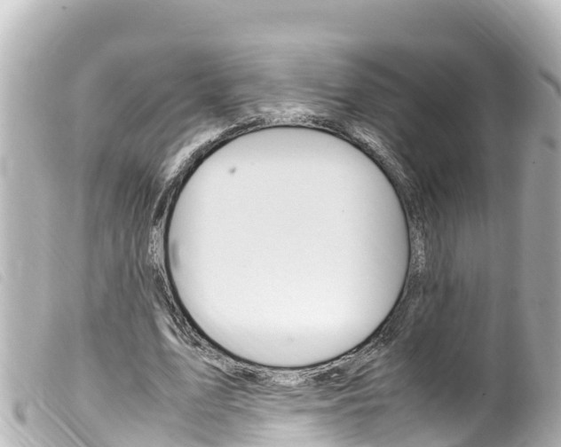 X0000100220583200805300749