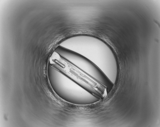 X0000100220585200805300749