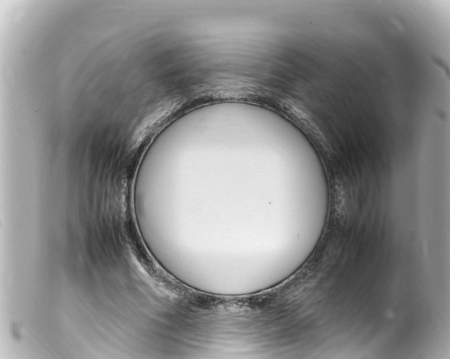 X0000100220586200805300749