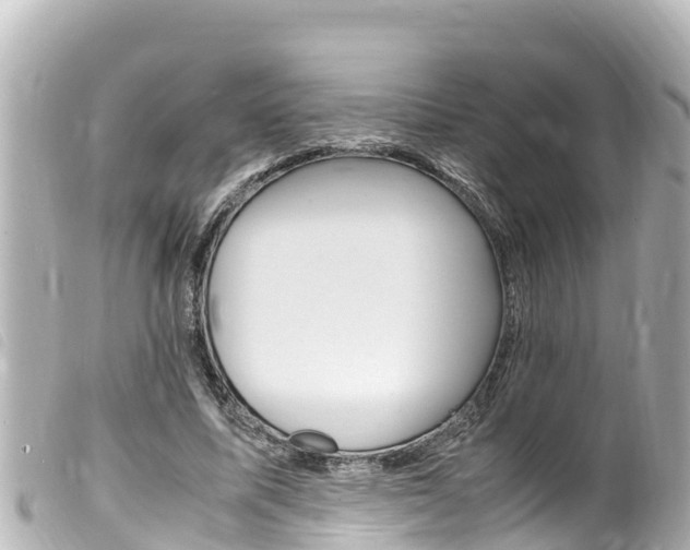 X0000100220587200805300749