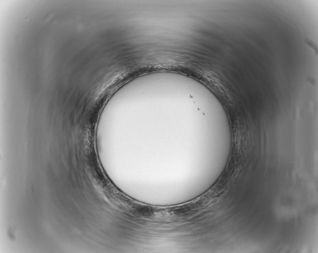 X0000100220591200805300749