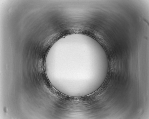X0000100220594200805300749