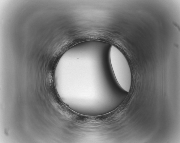 X0000100220597200805300749