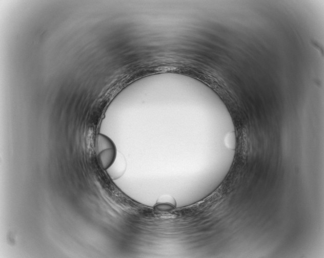 X0000100220598200805300749