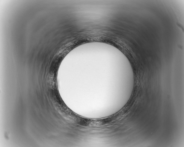 X0000100220599200805300749