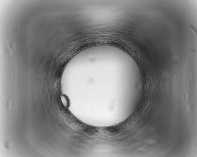 X0000100220601200805300749
