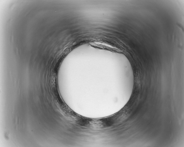 X0000100220603200805300749