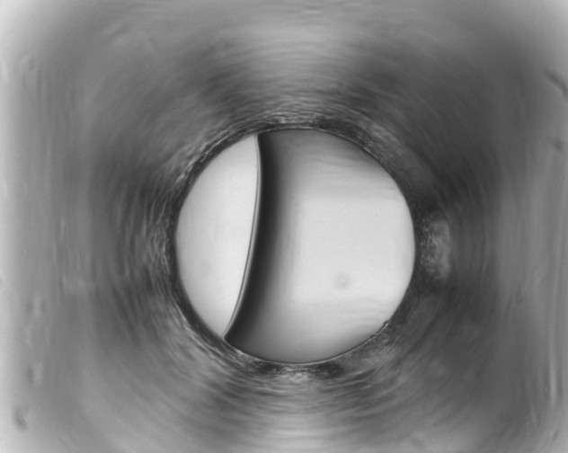 X0000100220604200805300749
