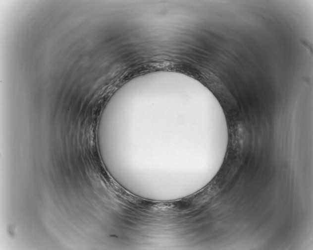 X0000100220606200805300749