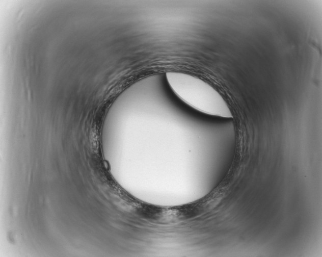 X0000100220609200805300749