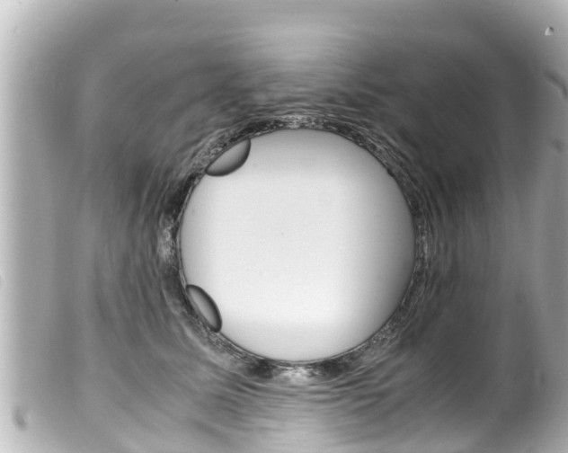 X0000100220611200805300749