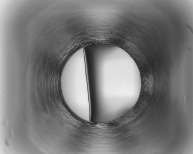 X0000100220612200805300749
