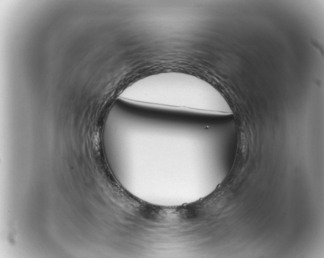 X0000100220613200805300749