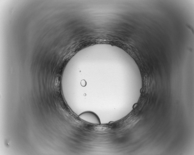 X0000100220614200805300749