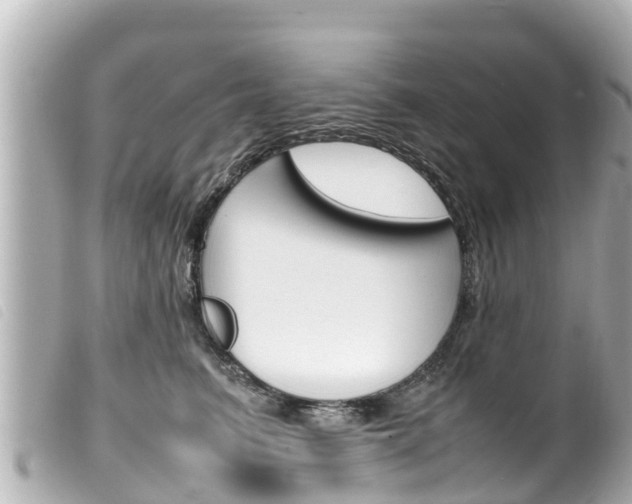 X0000100220615200805300749