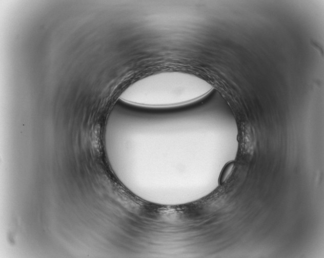 X0000100220616200805300749
