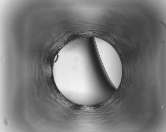 X0000100220617200805300749