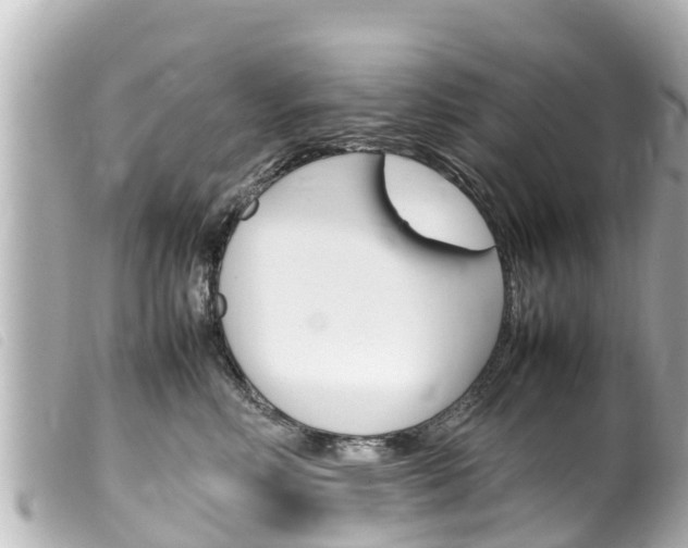 X0000100220618200805300749