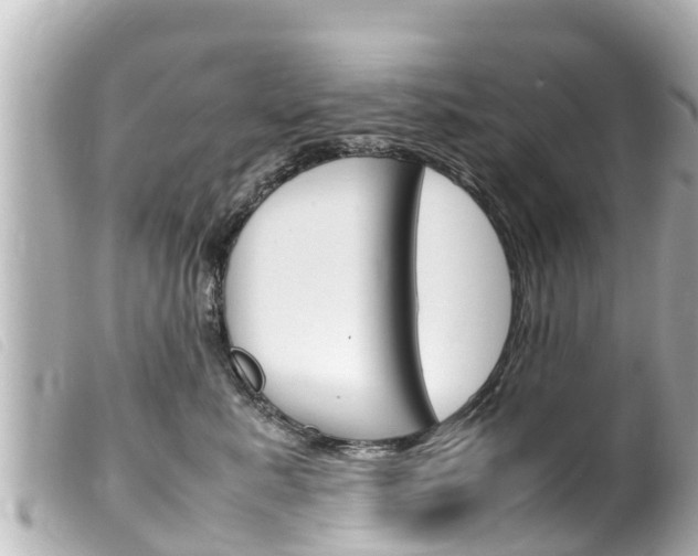 X0000100220619200805300749