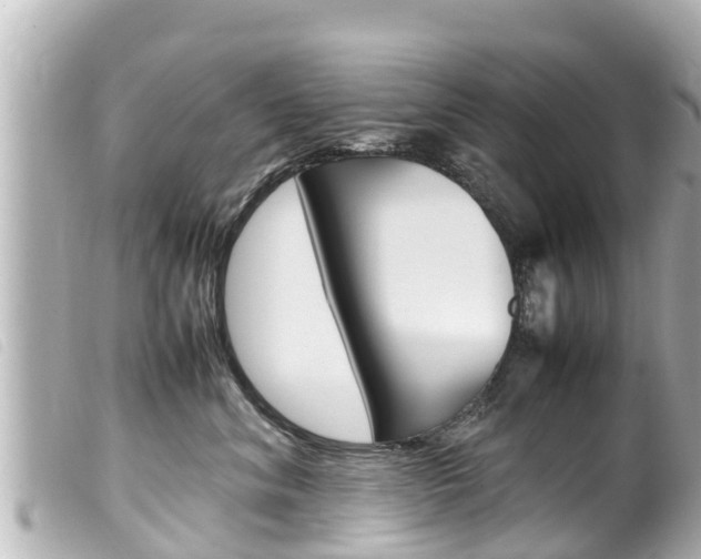 X0000100220620200805300749