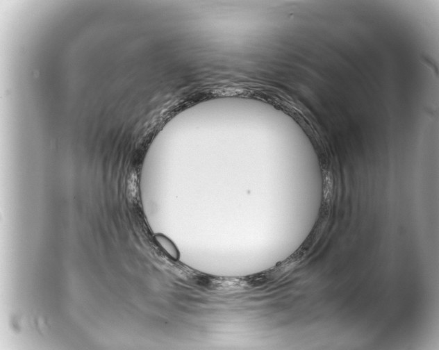 X0000100220621200805300749