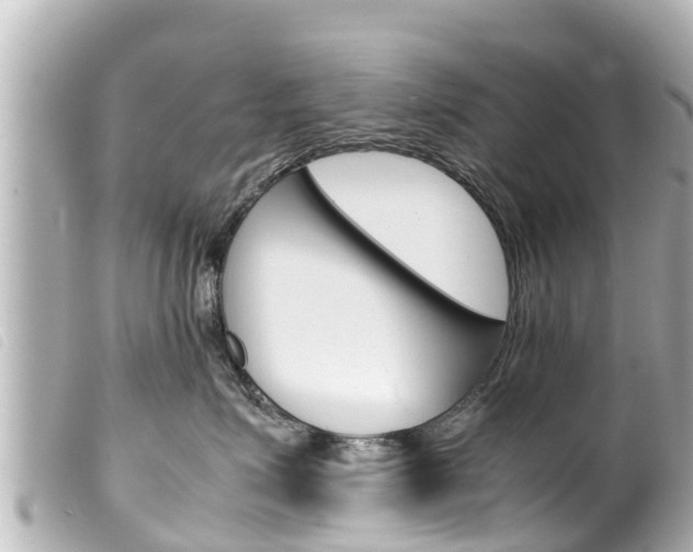 X0000100220623200805300749