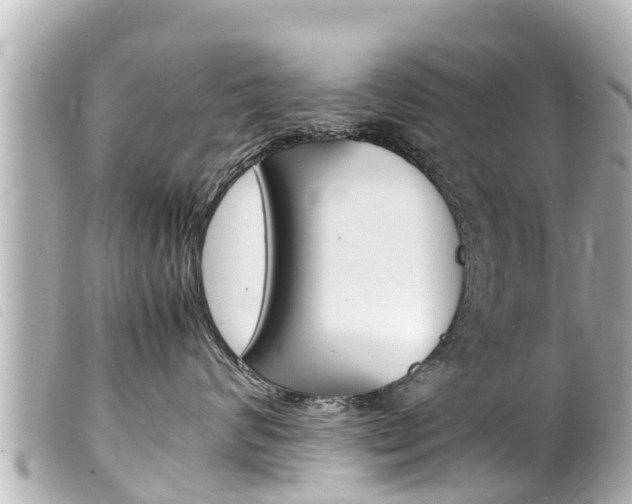X0000100220624200805300749