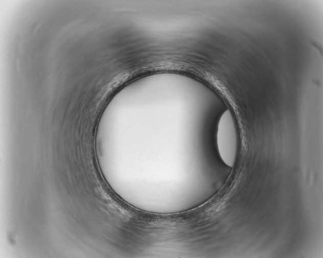 X0000100220625200805300748